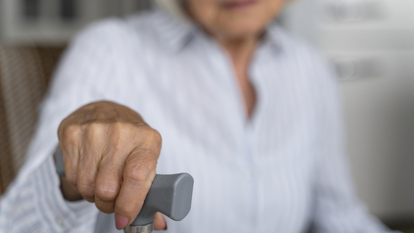 В Воронжеской области нашли живым 63-летнего жителя Панинского района