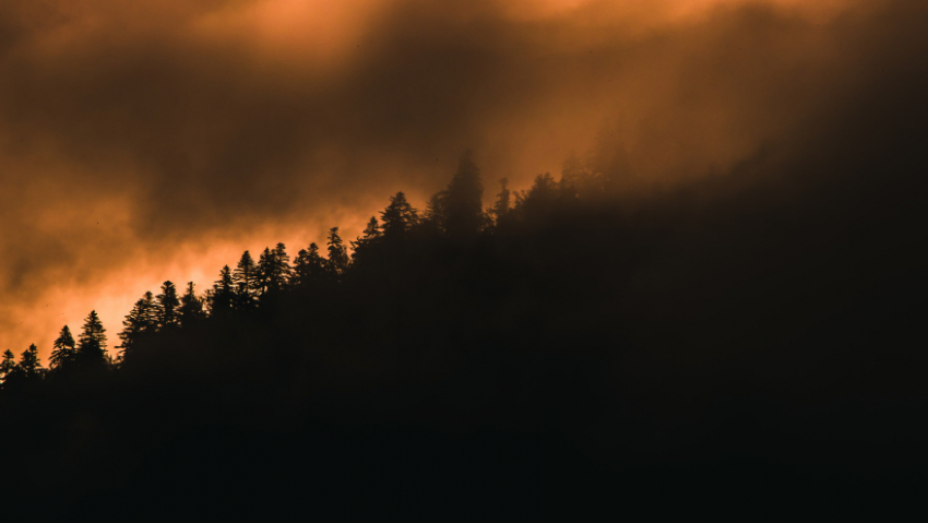В Воронежской области продолжается подготовка к пожароопасному сезону