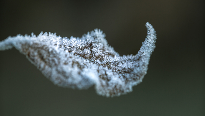 В Воронежской области объявлено штормовое предупреждение из-за аномальных холодов
