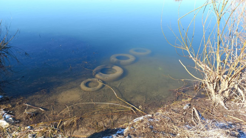 В Воронежской области Росприроднадзор проверил речные водоохранные зоны