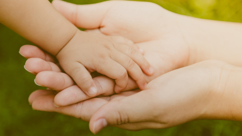 В Воронежской области многодетным матерям напомнили о возможности досрочно выйти на пенсию