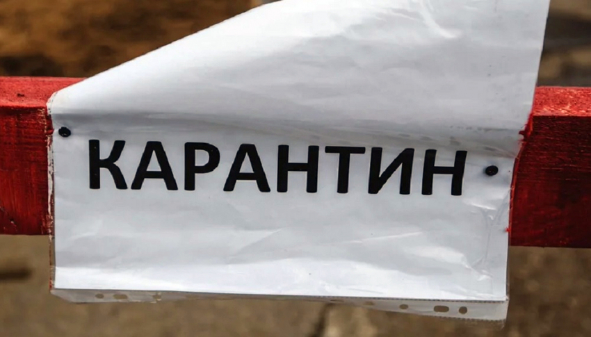 В поселке Аннинского района сняли карантин по бешенству