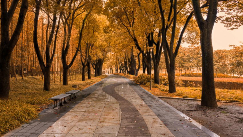 Воронежской области выделят 628 млн рублей на развитие городской среды