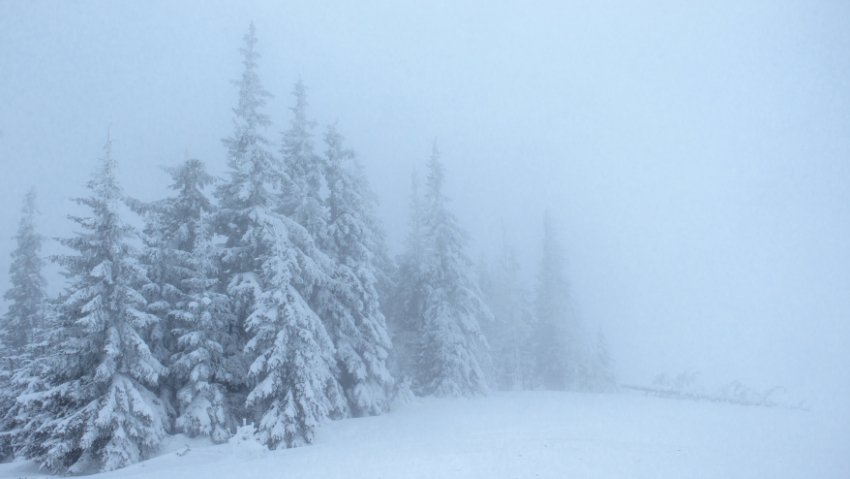 Синоптики рассказали, обрушится ли на Воронежскую область московский циклон