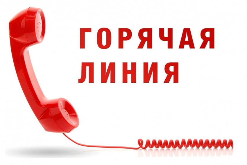 В Воронежской области открылась горячая линия по поддержке семей бойцов СВО