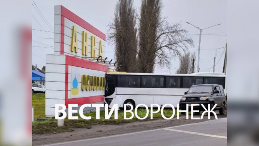 В Аннинском районе автобус врезался во въездную стелу