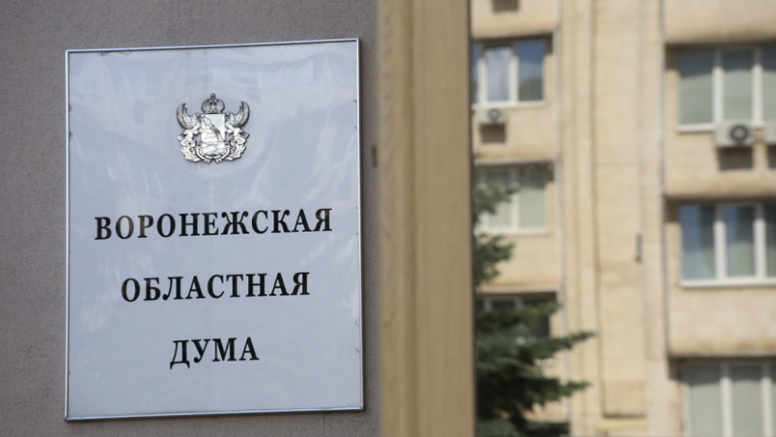 На выборах в Воронежской области будут работать волонтёры