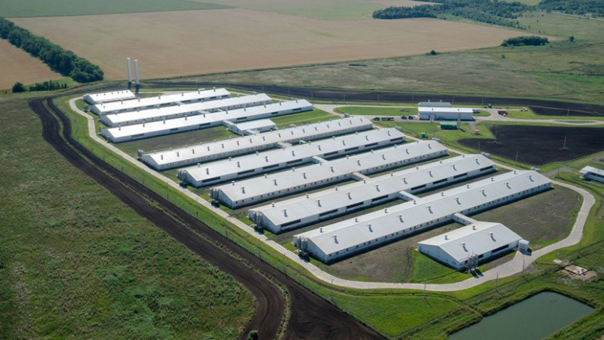 Жители Таловского района переживают из-за строительства животноводческого комплекса