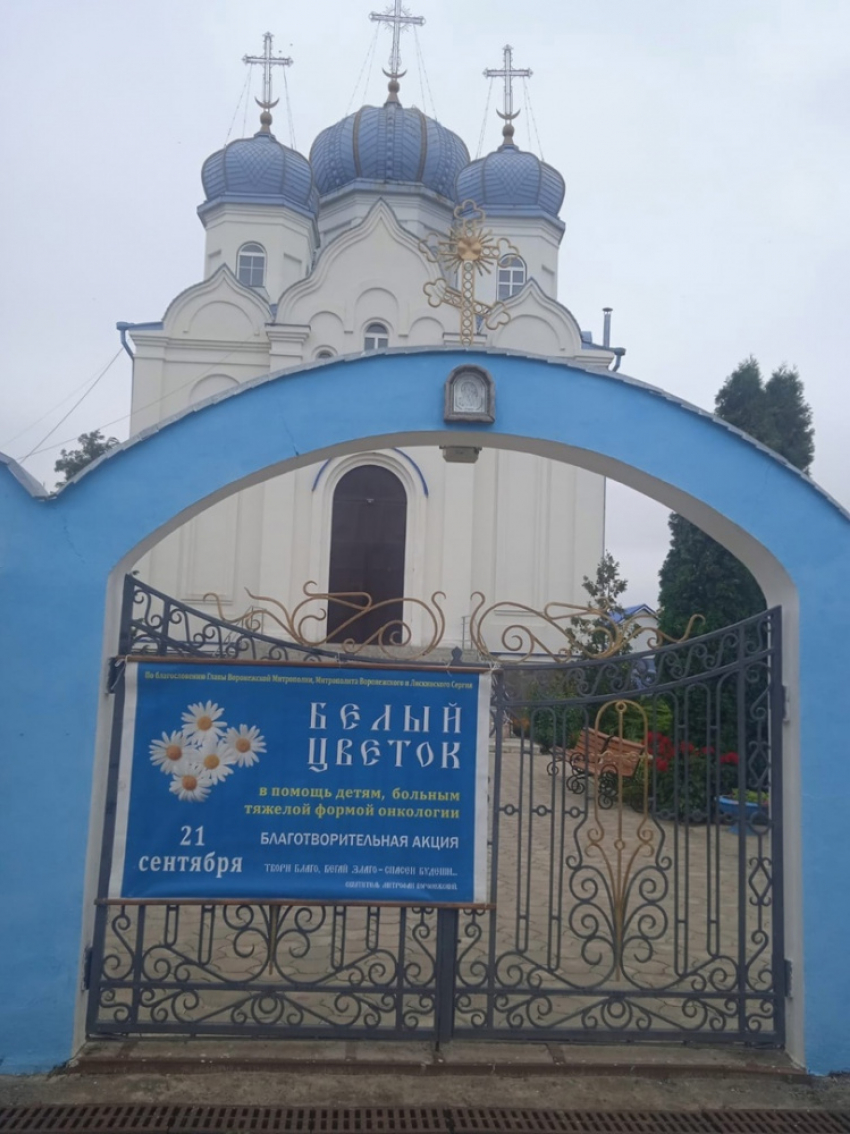 В Панинском районе проходит акция «Белый цветок»