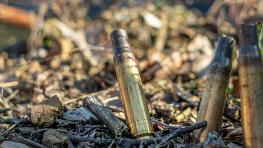 Житель Боброва нашёл на свалке карабин и хранил у себя дома 10 лет