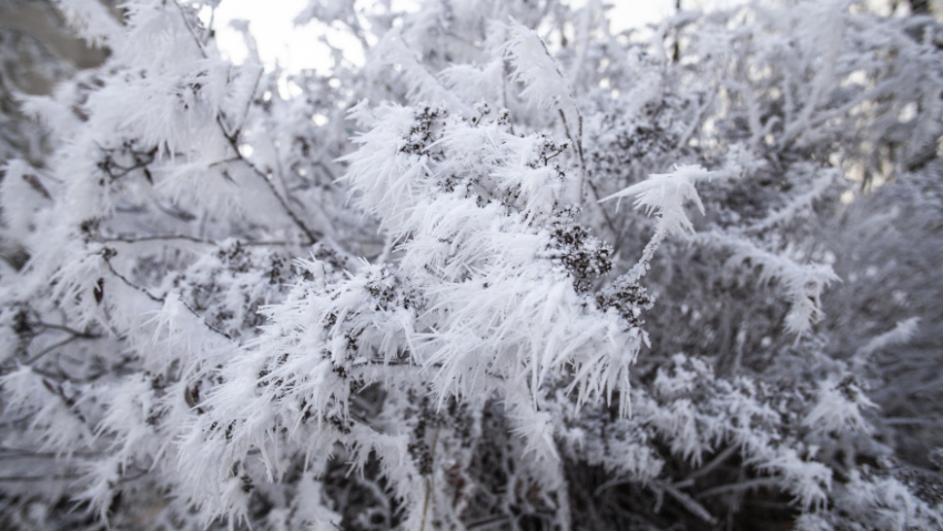В Воронежской области на выходных похолодает до -24 градусов