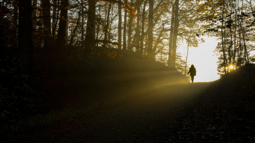 В Воронежской области за неделю пропали 25 человек