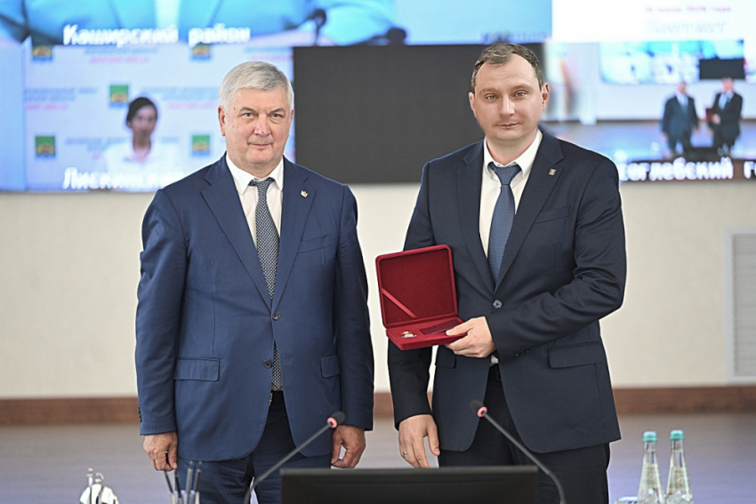 Главу Панинского района Андрея Кичигина наградили почётным знаком 