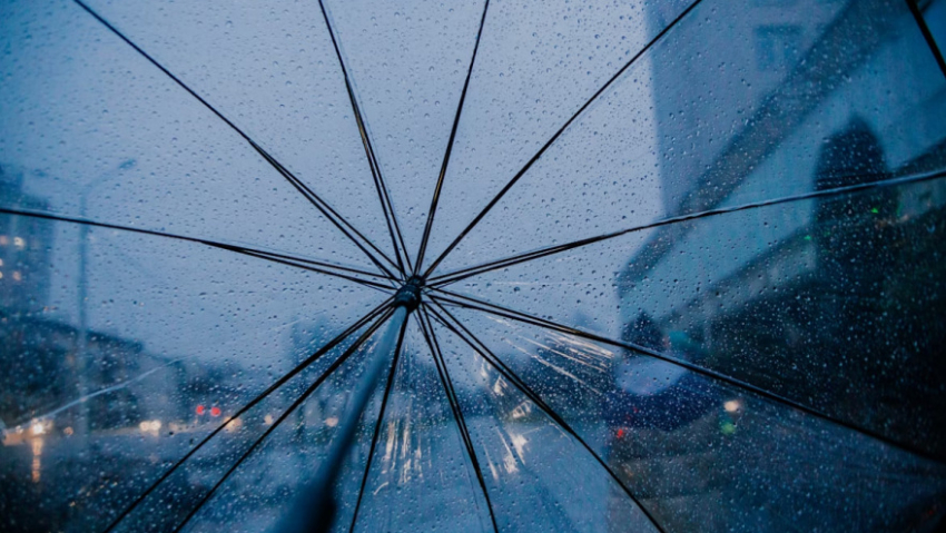 Жителей Воронежской области предупредили о ливнях и грозах