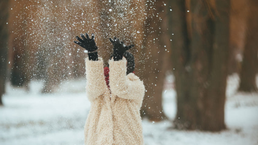 Жителей Воронежской области ожидает снежный и морозный январь