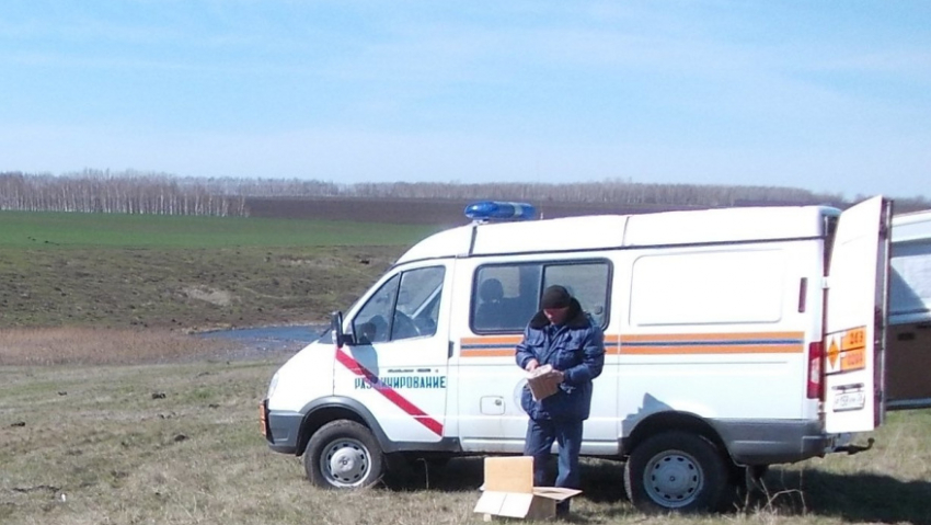В Эртильском районе уничтожили два боеприпаса времён Великой Отечественной войны