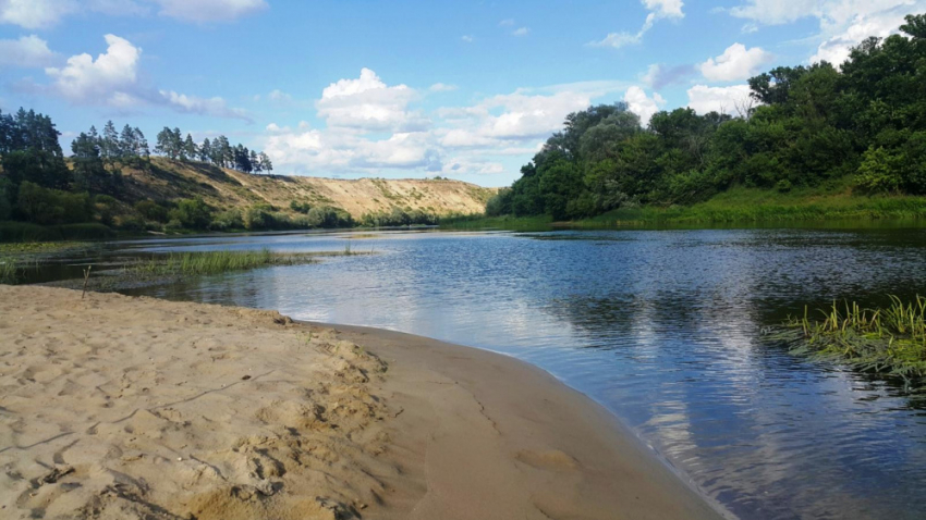 В Воронежской области сокращается число пляжей