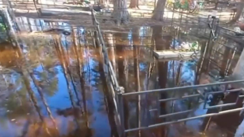 В Воронежской области остаются затопленными 8 мостов