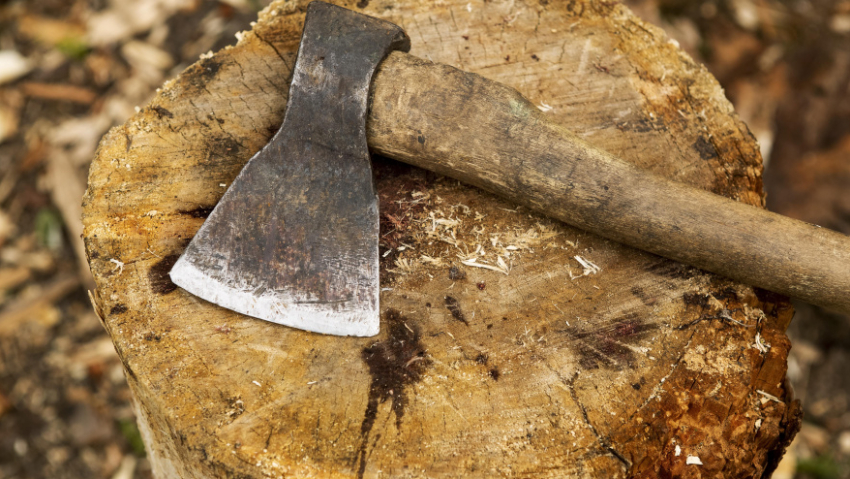 Житель Бобровского района ударил знакомого топором