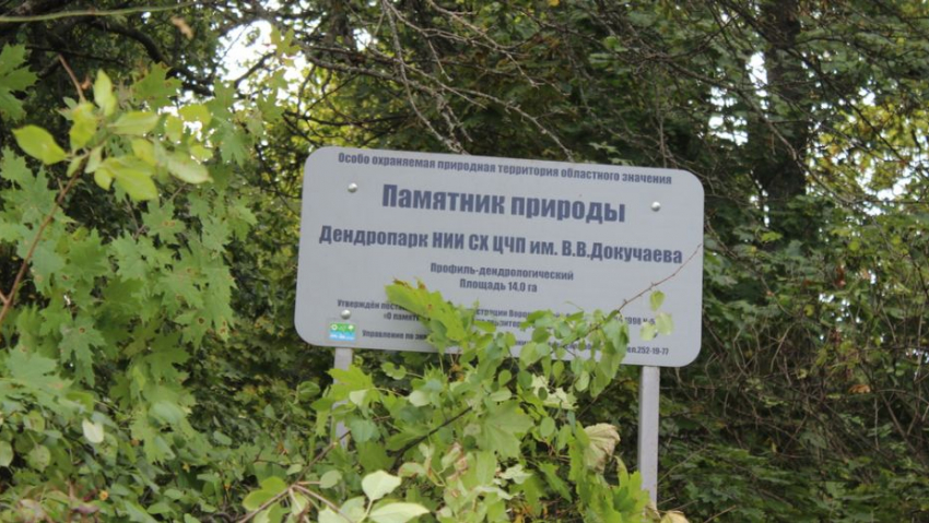 В Таловском районе очистят дендропарк имени В. В. Докучаева