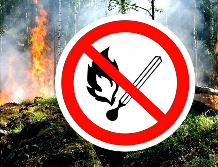 В сентябре в лесах Воронежской области будет высокая пожарная опасность