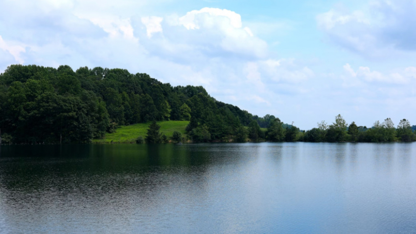 В Воронежской области остаются затопленными 5 мостов