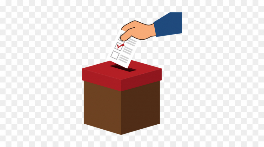 Жители Воронежской области могу подать заявление для участия в ДЭГ на выборах