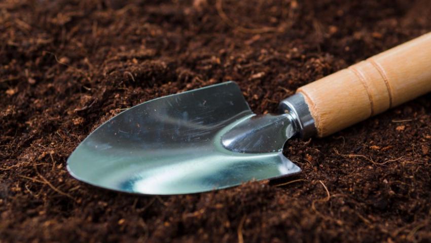 За год в Воронежской области выявили 73 нарушения при продаже пакетированных семян