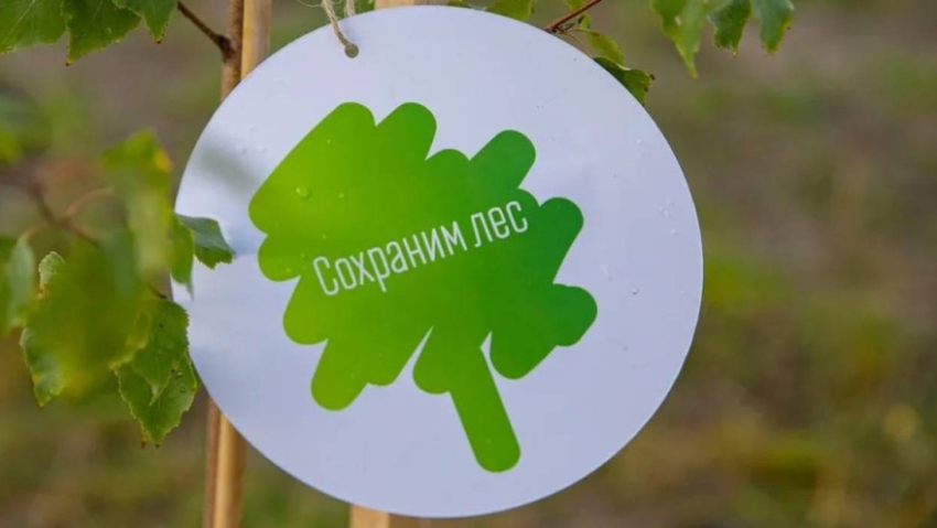 Воронежская область присоединится к осенней акции «Сохраним лес»
