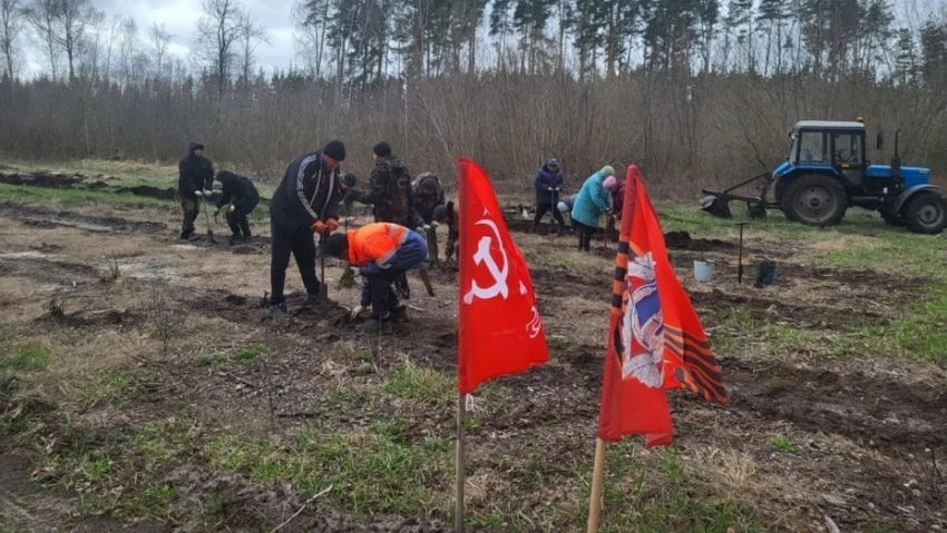 Жители Бобровского района приняли участие в акции «Сад памяти»