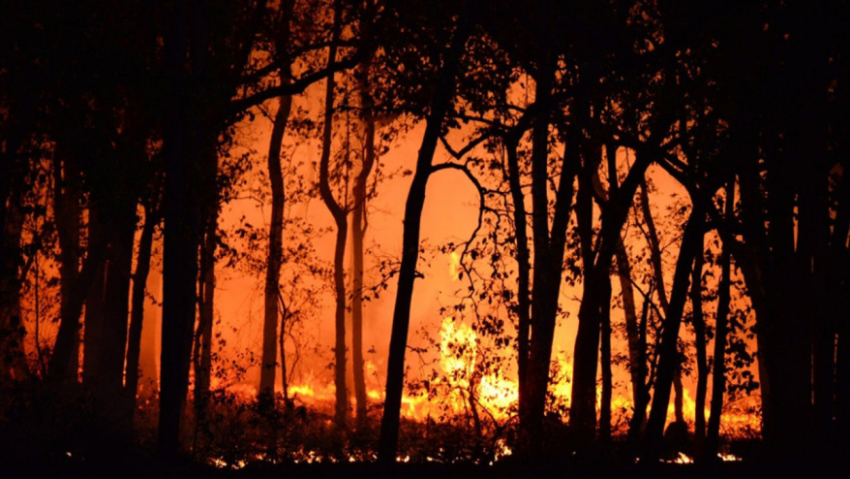 В Воронежской области за сутки произошло 158 пожаров
