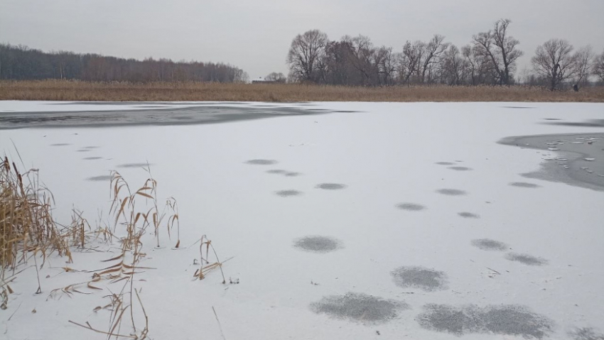 В Воронежской области двое детей провалились под лед и утонули