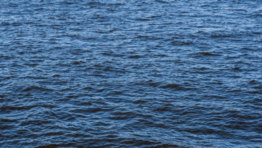 Двое мужчин погибли в водоёмах Воронежской области