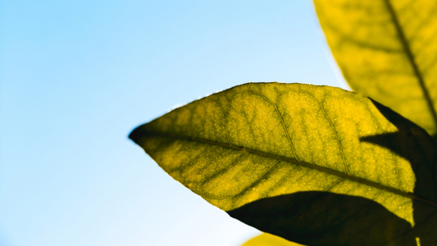 В Воронежской области похолодает до +12 градусов