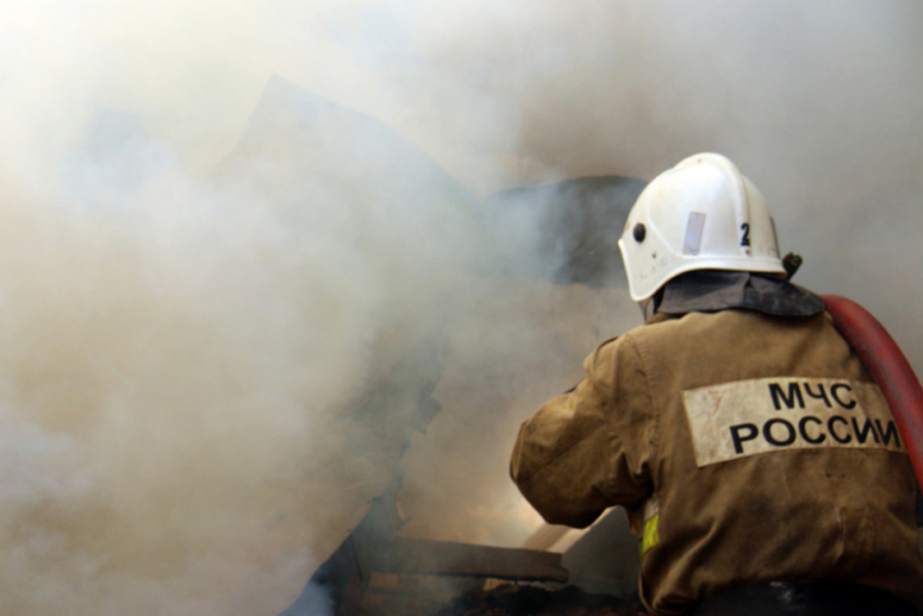 В Воронежской области почти год не было лесных пожаров