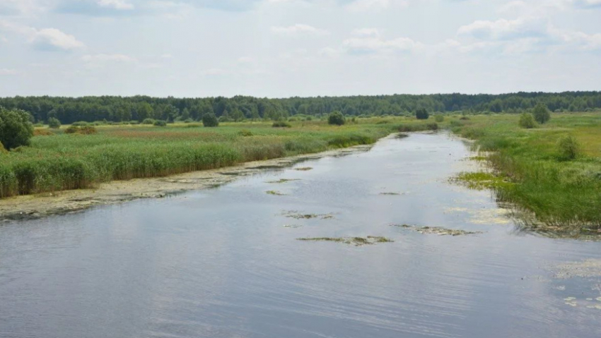 В Воронежской области отметят границы водоохранных зон и прибрежных защитных полос рек