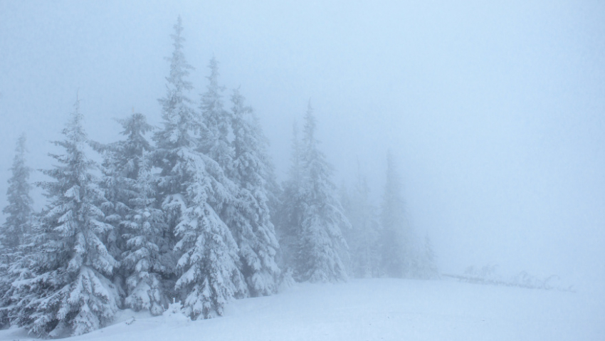 В Эртильском районе высота сугробов достигла 47 см