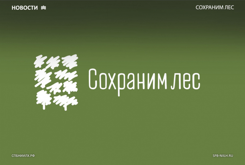 В Воронежской области проходит акция «Сохраним лес»