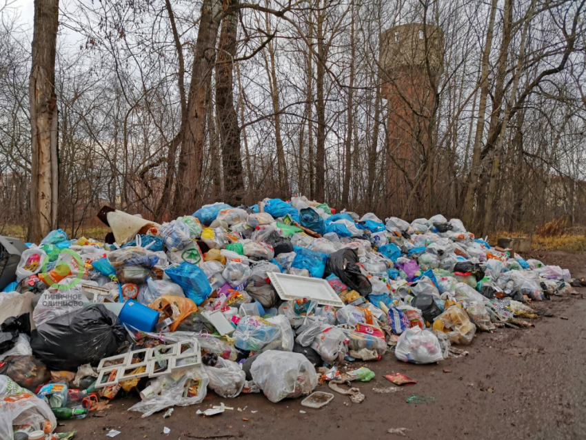 Росприроднадзор Воронежской области обследовал мусорные полигоны в Аннинском и других районах региона
