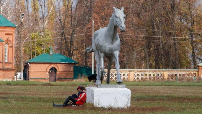 В Бобровском районе установят памятник коню