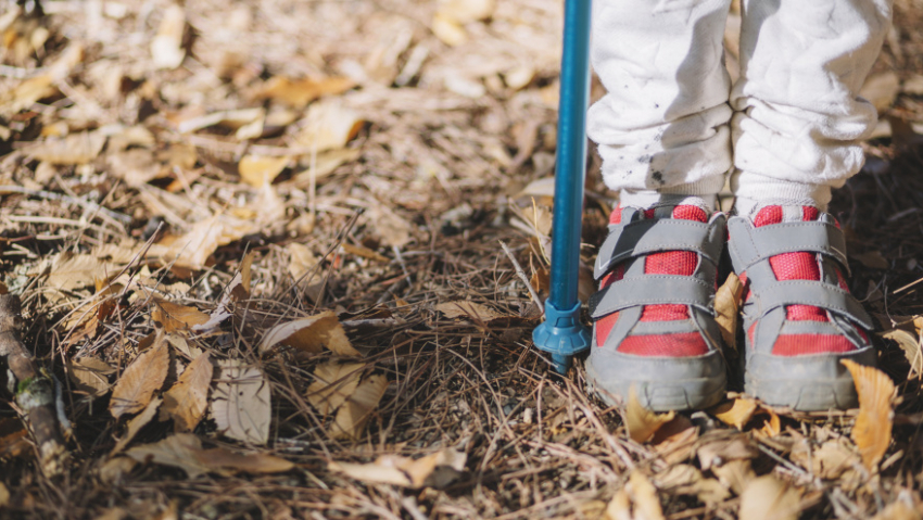 В Воронежской области назвали район, где чаще всего пропадают люди