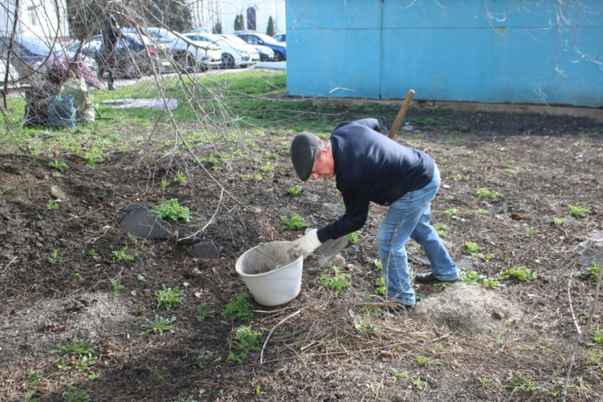 Жителей Панинского района приглашают присоединиться к месячнику благоустройства