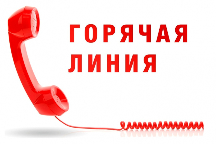 Воронежцам расскажут, как выбрать детский лагерь