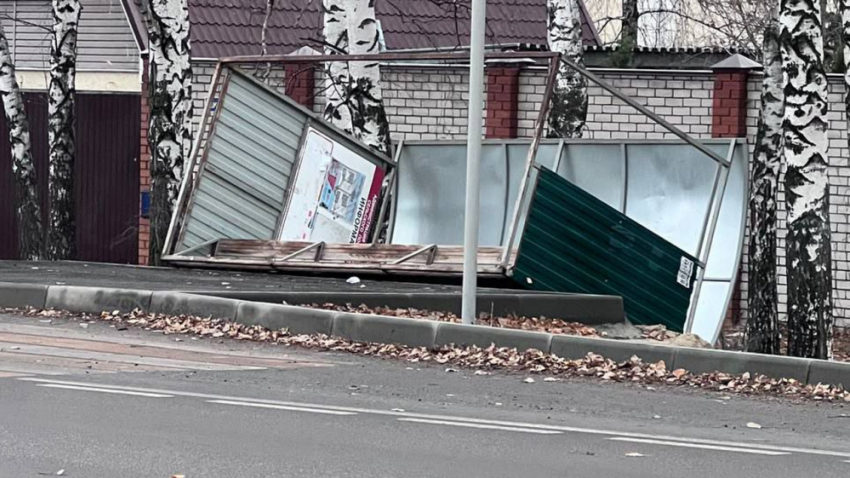 В 6 районах Воронежской области возникли проблемы со светом из-за непогоды